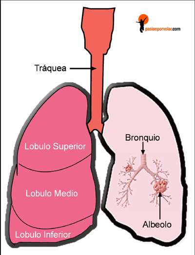 hipoxia-1