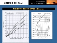 diapositiva10